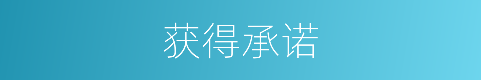 获得承诺的同义词