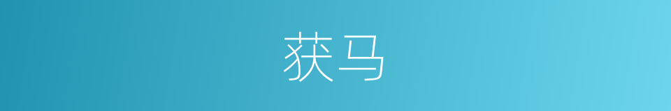 获马的同义词