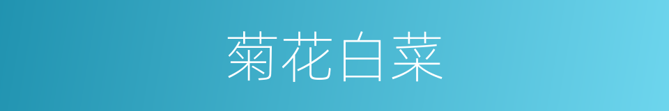 菊花白菜的同义词