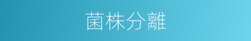 菌株分離的同義詞