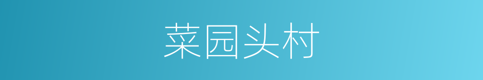 菜园头村的同义词