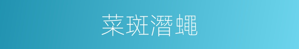 菜斑潛蠅的同義詞
