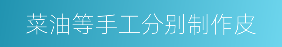 菜油等手工分别制作皮的同义词