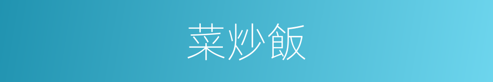 菜炒飯的同義詞