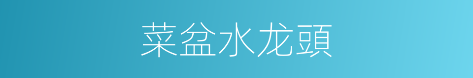 菜盆水龙頭的同義詞