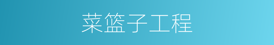 菜篮子工程的同义词