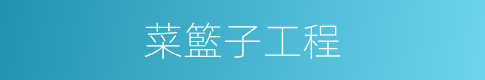 菜籃子工程的同義詞