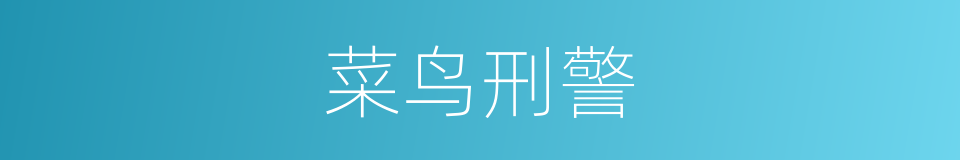 菜鸟刑警的同义词