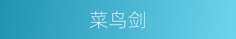 菜鸟剑的同义词