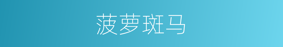 菠萝斑马的同义词