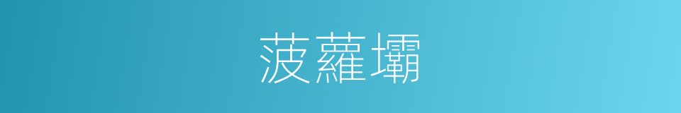 菠蘿壩的同義詞
