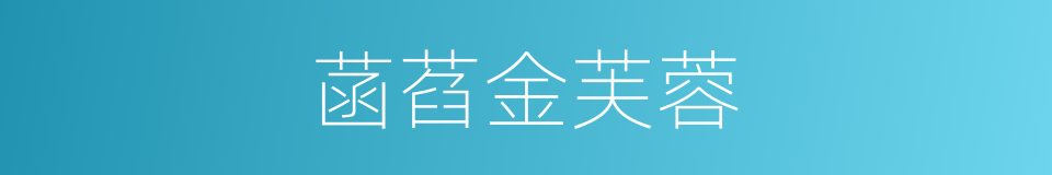 菡萏金芙蓉的同义词