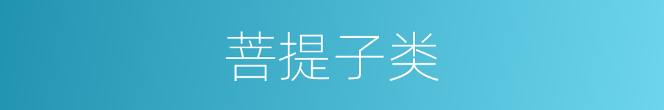 菩提子类的同义词