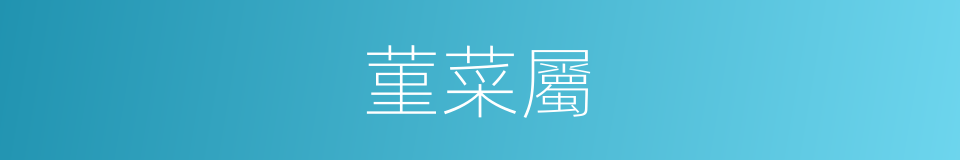 菫菜屬的同義詞