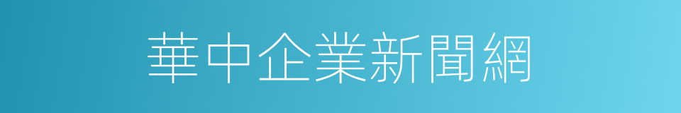 華中企業新聞網的同義詞