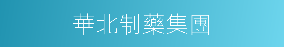 華北制藥集團的同義詞