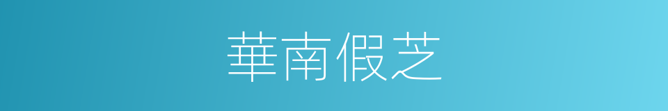 華南假芝的同義詞