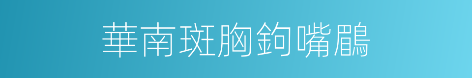 華南斑胸鉤嘴鶥的同義詞
