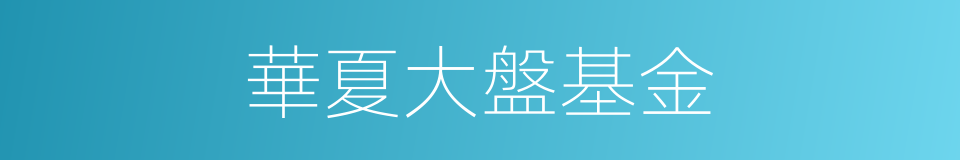華夏大盤基金的同義詞