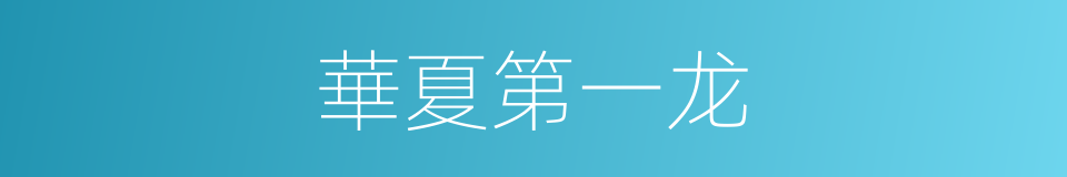 華夏第一龙的同義詞