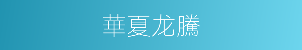 華夏龙騰的同義詞