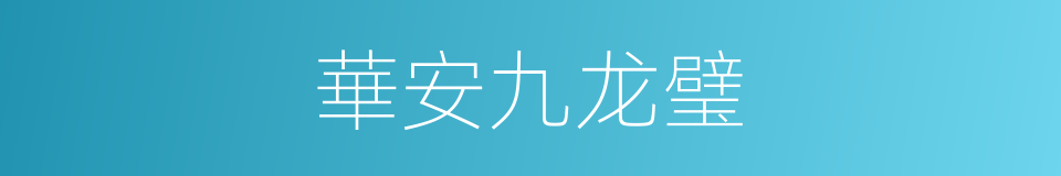 華安九龙璧的同義詞