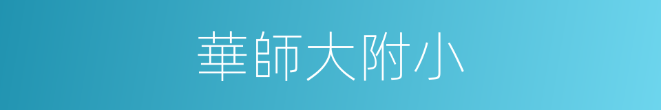 華師大附小的同義詞