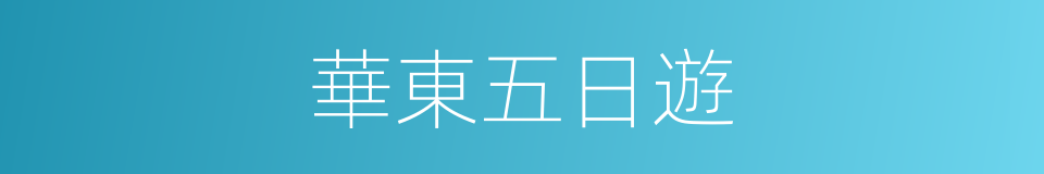 華東五日遊的同義詞