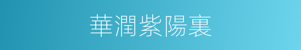 華潤紫陽裏的同義詞