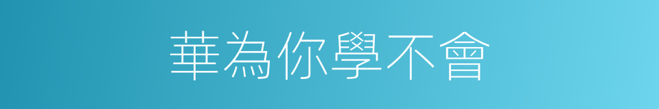 華為你學不會的同義詞