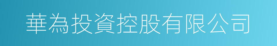 華為投資控股有限公司的同義詞