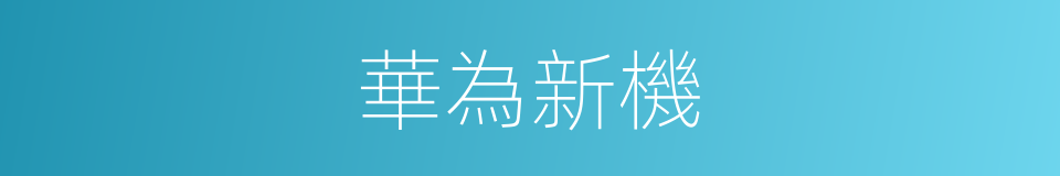 華為新機的同義詞