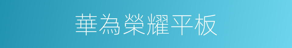 華為榮耀平板的同義詞