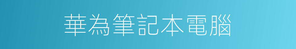 華為筆記本電腦的同義詞