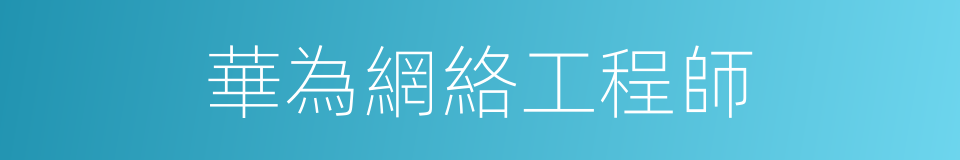 華為網絡工程師的同義詞