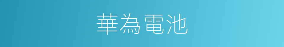 華為電池的同義詞
