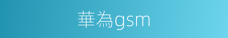 華為gsm的同義詞