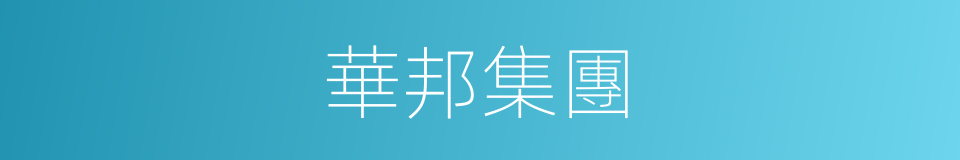 華邦集團的同義詞