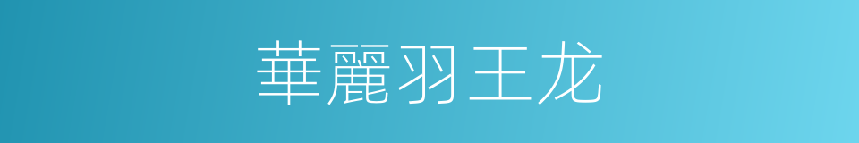 華麗羽王龙的同義詞
