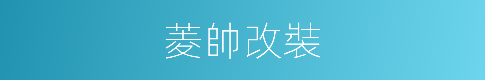 菱帥改裝的同義詞