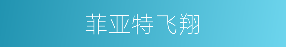 菲亚特飞翔的同义词