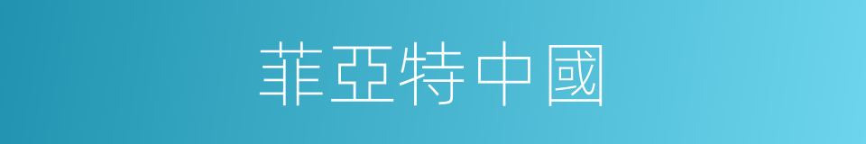 菲亞特中國的同義詞