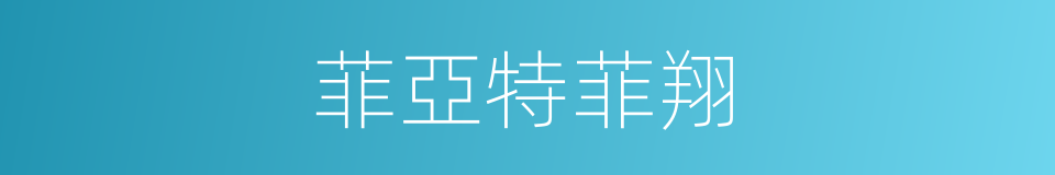 菲亞特菲翔的同義詞