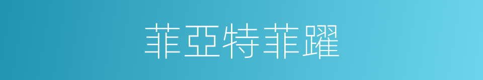 菲亞特菲躍的同義詞