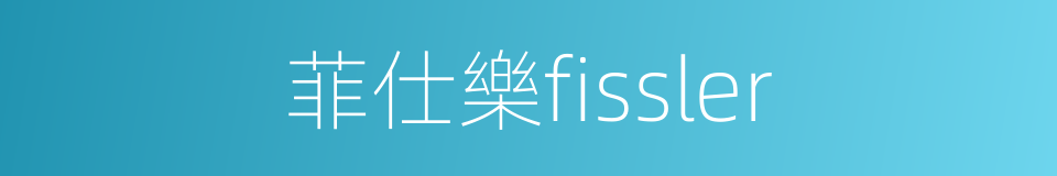 菲仕樂fissler的同義詞