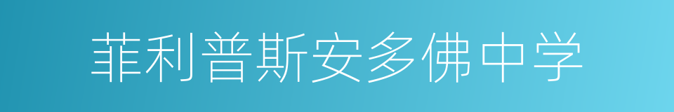 菲利普斯安多佛中学的同义词