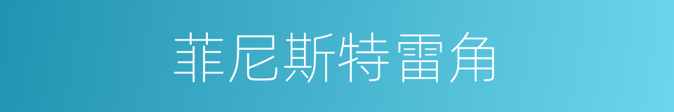 菲尼斯特雷角的同义词