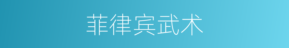 菲律宾武术的同义词