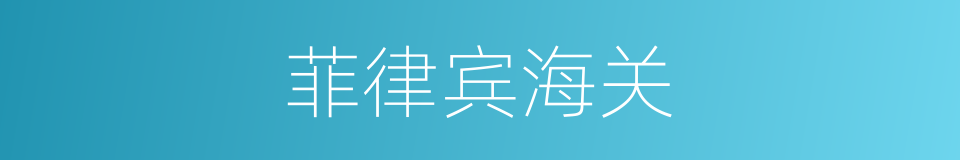 菲律宾海关的同义词