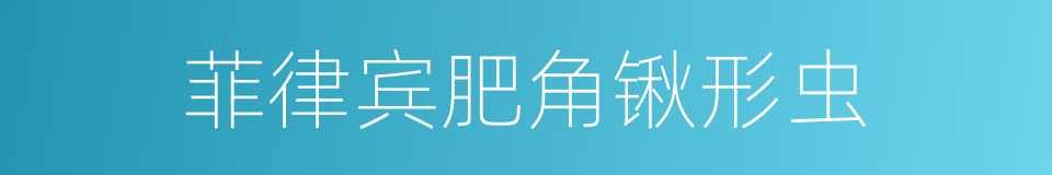 菲律宾肥角锹形虫的同义词